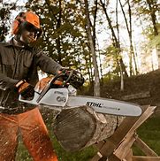 Image result for Stihl Chainsaws for Sale MS 291