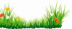 Image result for Baby Grass Clip Art