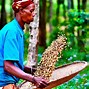 Image result for Coffee Malt Uganda