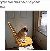 Image result for Dog Waiting Laugh Meme