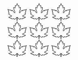 Image result for Maple Leaf Design