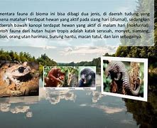 Image result for Tropika Haiwan