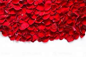 Image result for Red Rose Petals