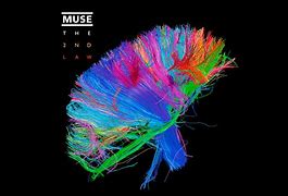 Image result for Muse PC Wallpaper