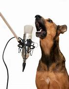 Image result for Funny Dog Singage