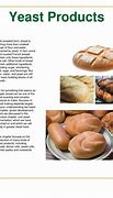 Image result for Baked Yeast Products