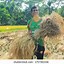 Image result for Bangladeshi Farmer Clothing