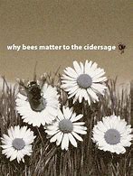 Image result for Bee Dies