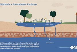 Image result for Groundwater