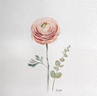 Image result for Korean Flower Drawing