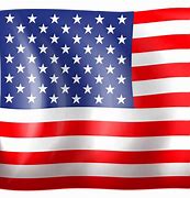 Image result for United States Bandera