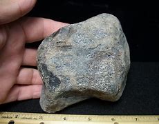 Image result for Dinosaur Bone Jasper