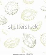 Image result for Durian Outline