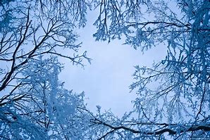 Image result for Blue Winter Cape