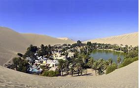 Image result for Oasis Desert Town