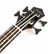 Image result for Ukulele Pics