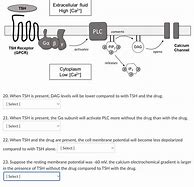 Image result for TSH Signaling Pathway