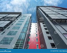 Image result for Ant Eye View