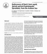 Image result for Spirula Cephalopod