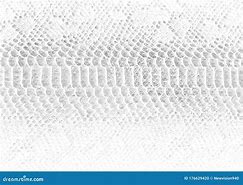 Image result for Snake Black and White Photography