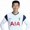 Image result for Son Heung-Min