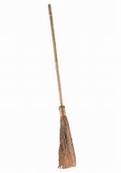 Image result for Motorized Witches Broom