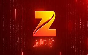 Image result for Zee Tamil Logo