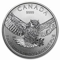 Image result for Canadian Birds of Prey