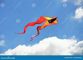 Image result for Orange Kite Flying