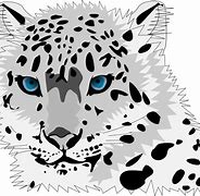 Image result for Snow Leopard Back Markings