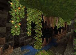 Image result for Biome Rapace