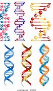 Image result for Double Helix Boarder