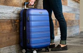 Image result for Luggage