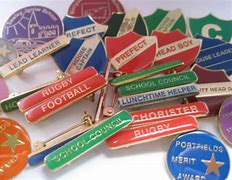 Image result for 7 Pin Badges