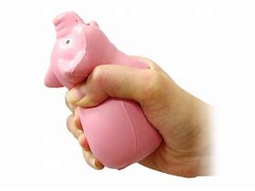 Image result for Pig Stress Ball