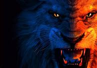 Image result for Angry Lion in the Dark Wallpaper