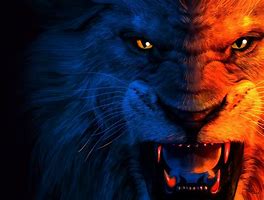 Image result for Angry Lion Wallpaper HD