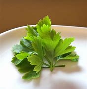 Image result for Simple Garnish