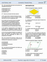 Image result for Examen De 5