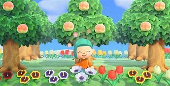 Image result for Acnh Peach Theme