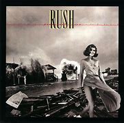 Image result for Permanent Waves Album