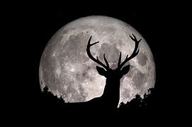 Image result for Full Bony Moon