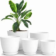 Image result for One Plant Pots