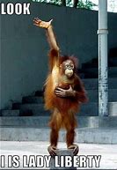 Image result for Funny Monkey Love