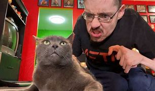 Image result for Sus Cat and Dog