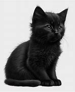 Image result for Cute Black Cat