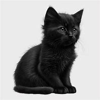 Image result for Black Cat Smile