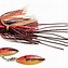 Image result for Brad's Lures