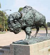 Image result for Bucknell Bison Sculpture