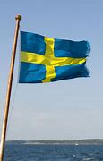 Image result for Det Svenske Flag